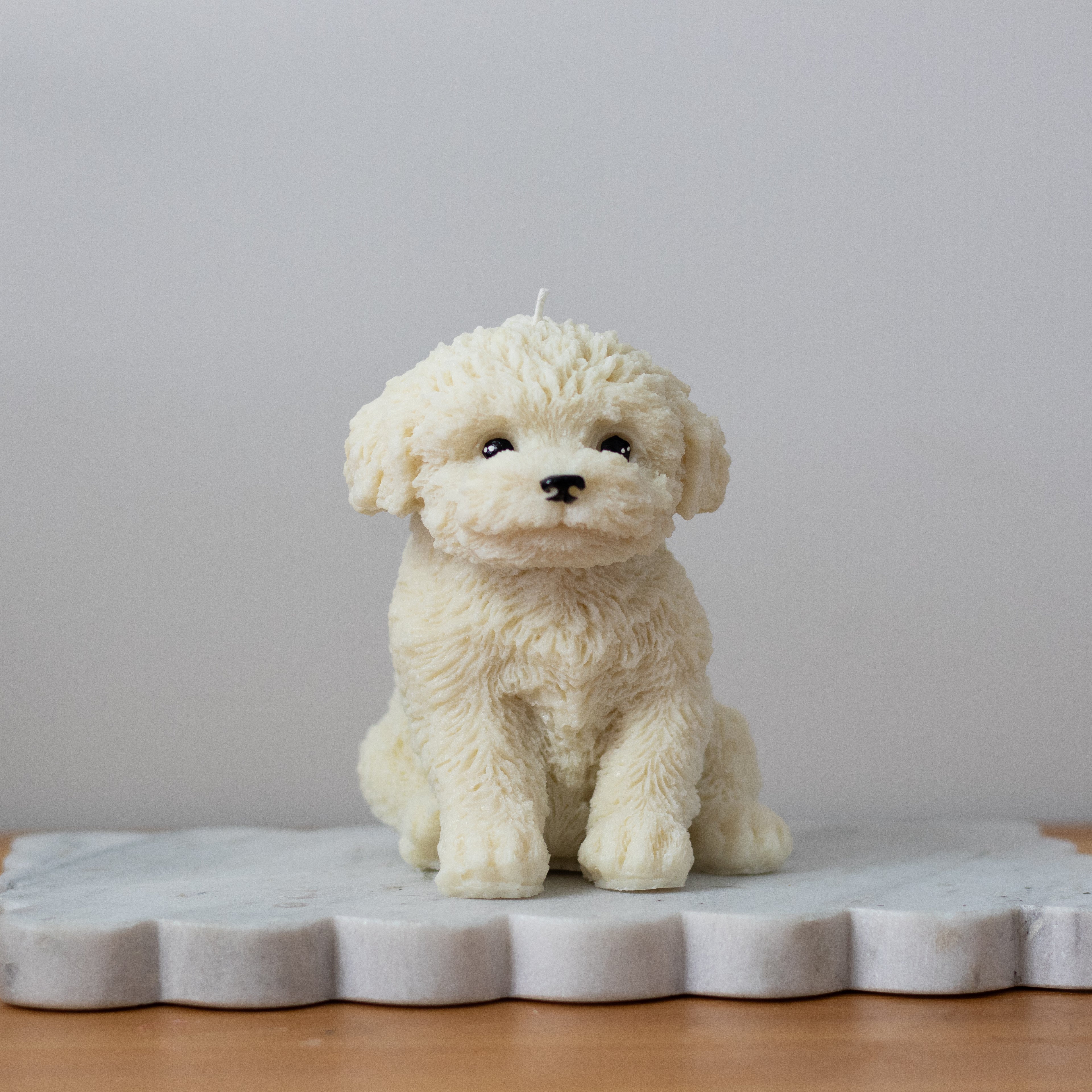 Cavoodle Candle