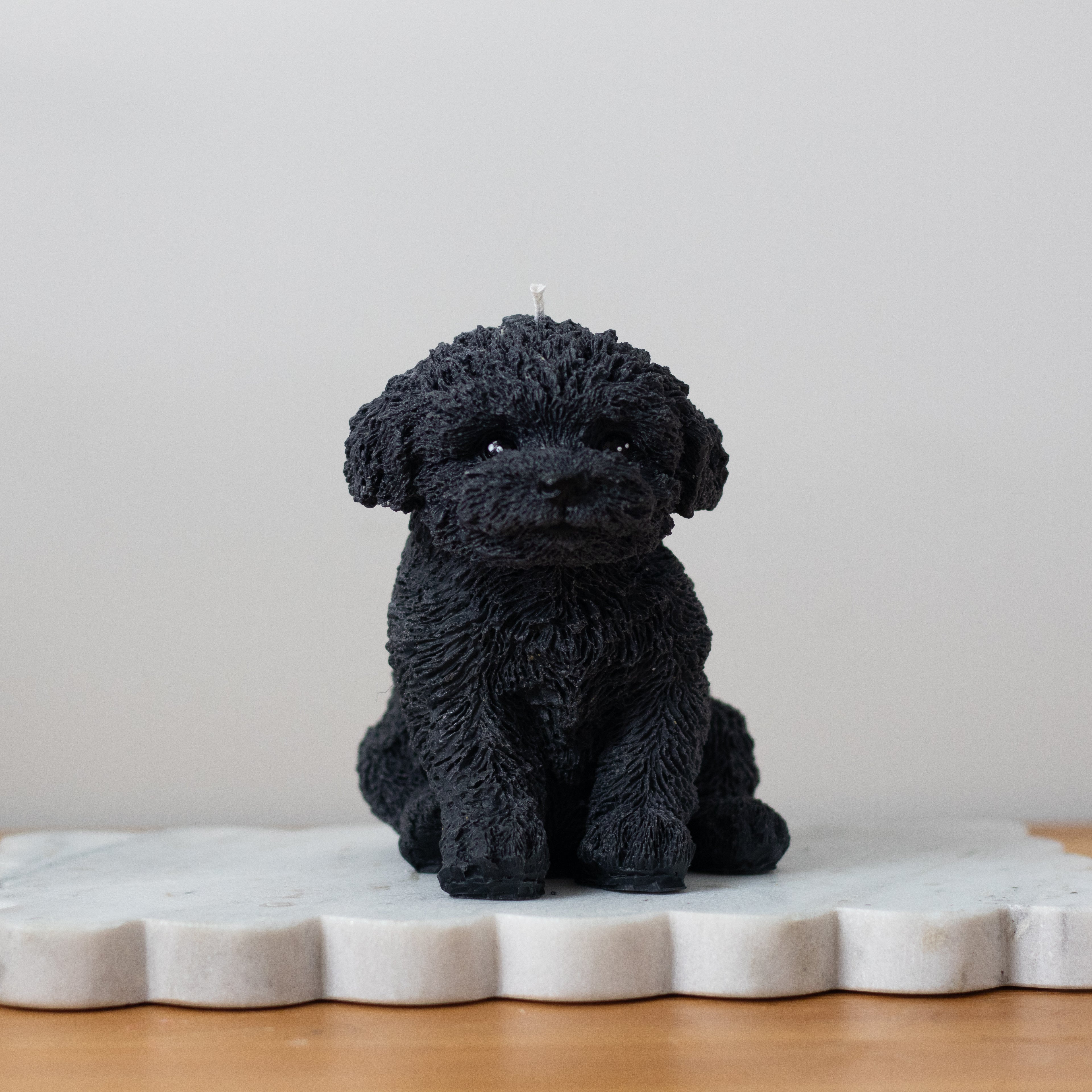 Cavoodle Candle