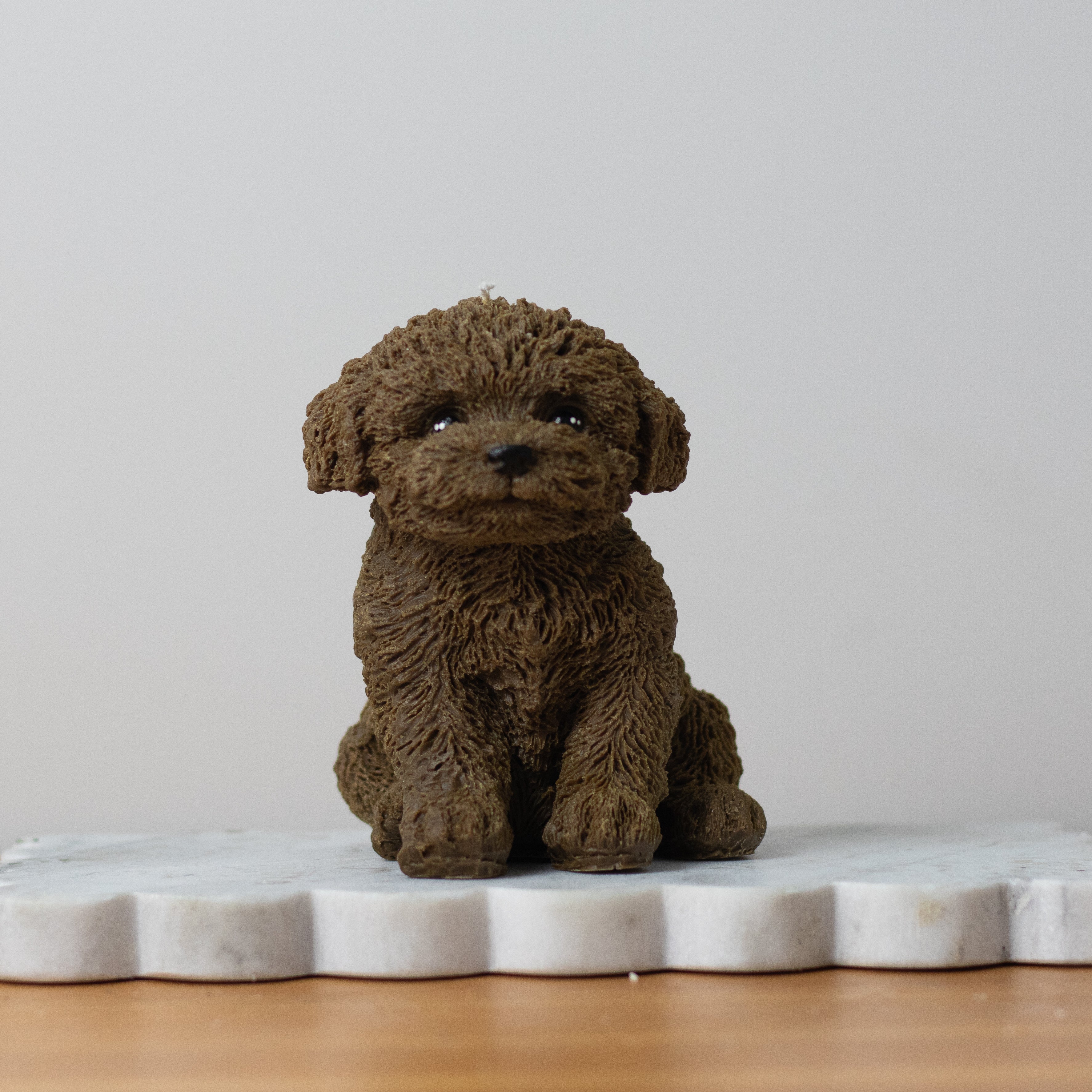 Cavoodle Candle