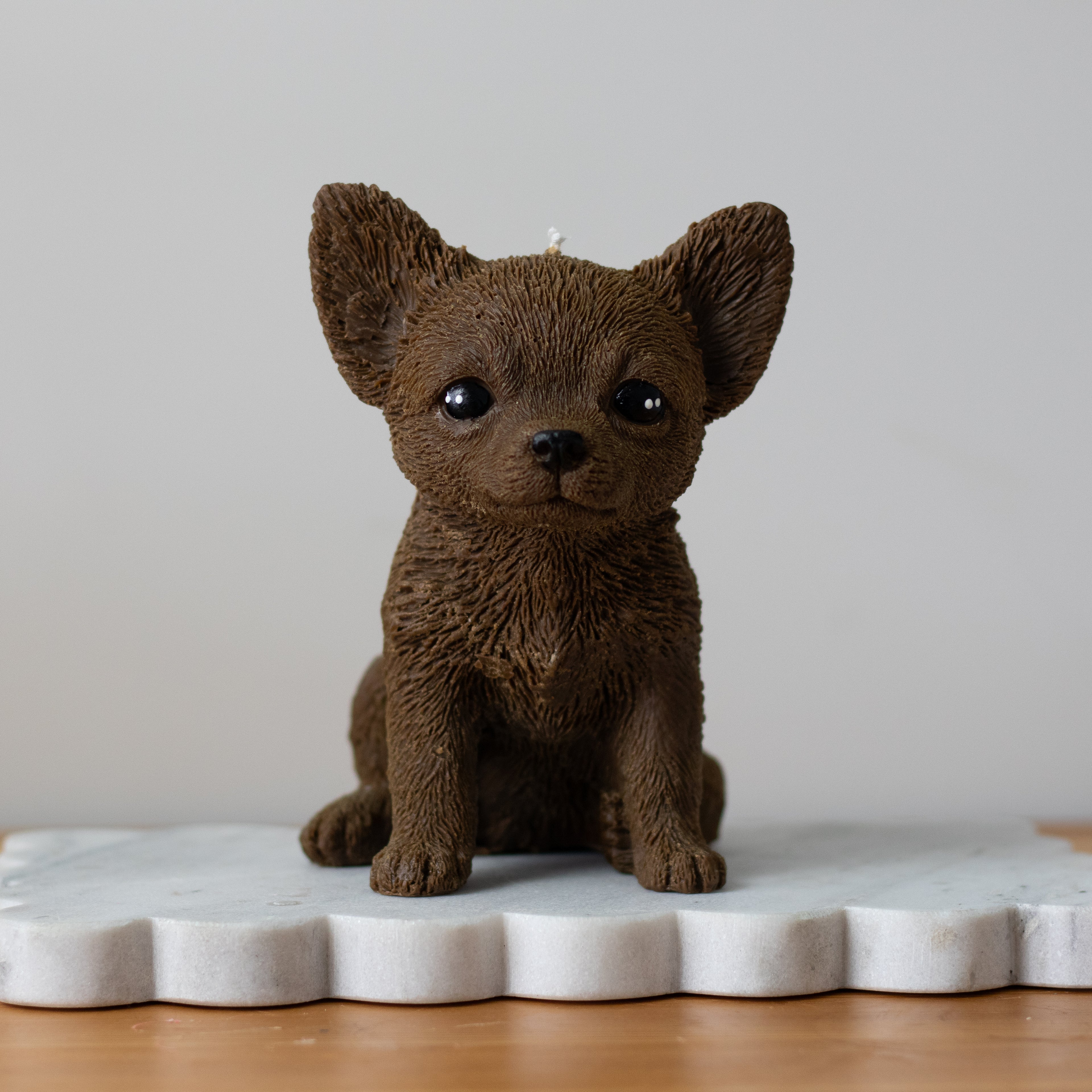 Chihuahua Candle
