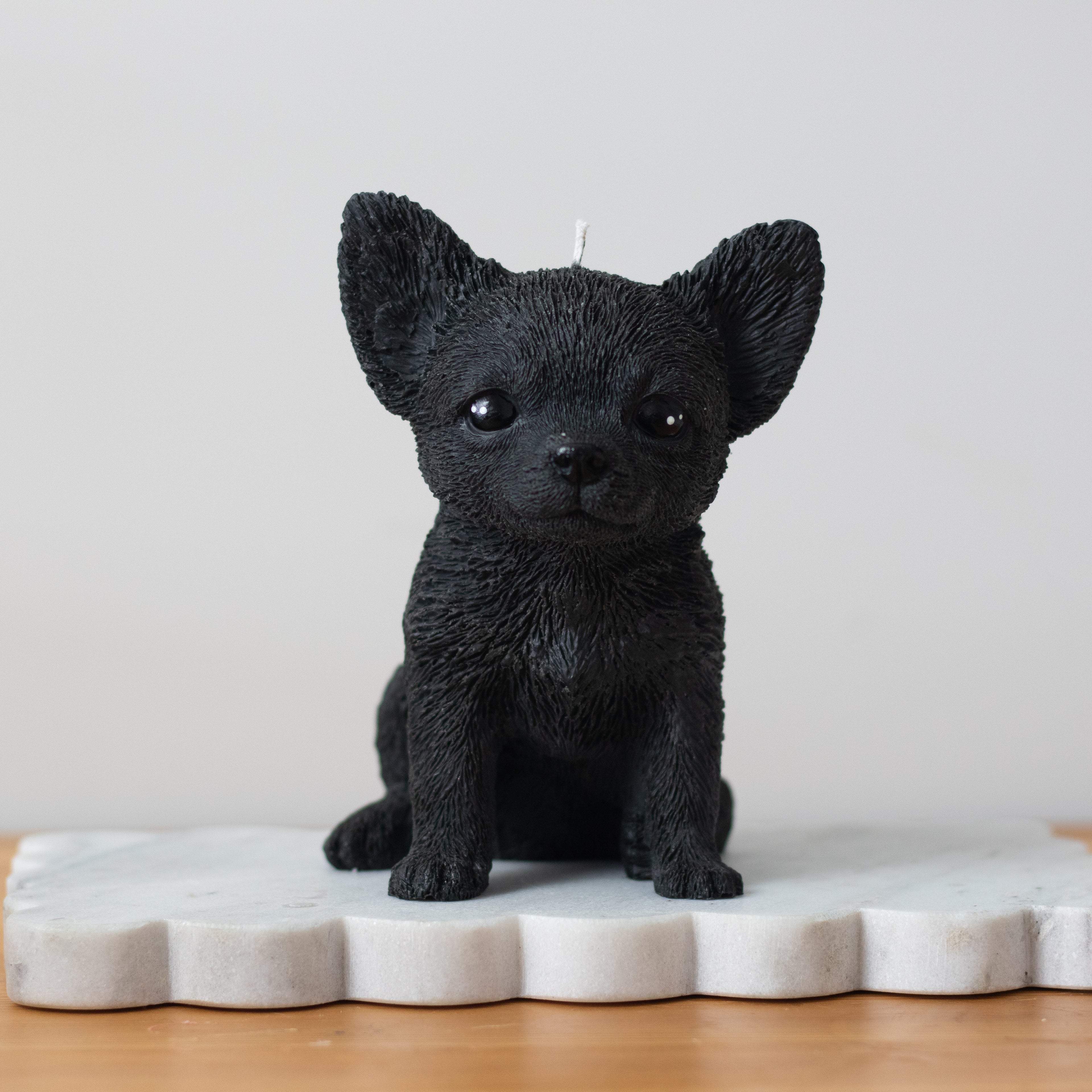 Chihuahua Candle