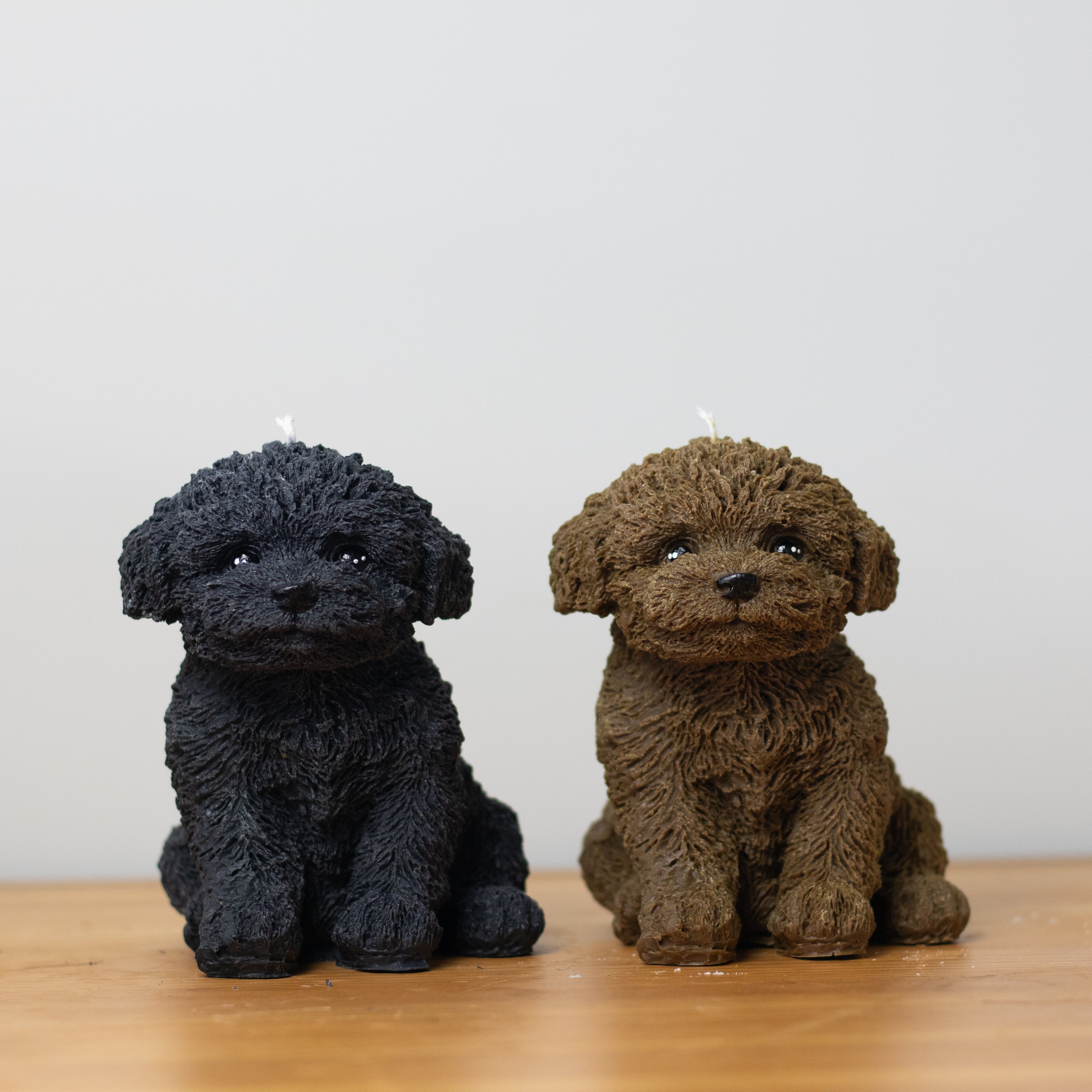 Cavoodle Candle